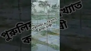 #purulia #farming #farmer #farm #farmlife #farmers পুরুলিয়ার চাষবাস #farming trick # new learning 🌾