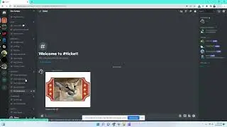 Join our Discord for  Madfut 22 bot codes every week! | Fire Futterz
