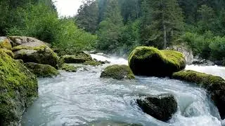🍃 Serene Waterfall & Calming Relaxing Music 🌿