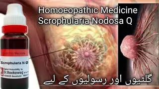 Homoeopathic Medicine Scrophularia Nodosa Q
