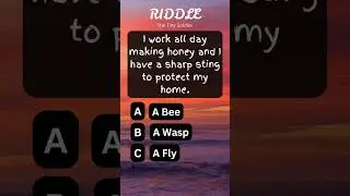 🎉What am I? #riddles