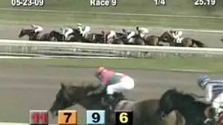 ARLINGTON PARK, 2009-05-23, Race 9