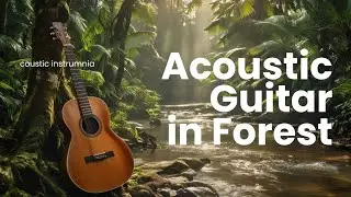 Relaxing Acoustic Guitar in Nature 🌱 Calm Instrumental Music for Stress Relief