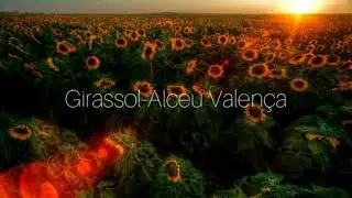 (Letra)Girassol-Alceu Valen&ccedil;a