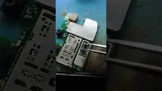 Hawaii light ic