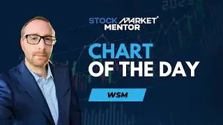 Is Williams-Sonoma Furnishing a breakout? $WSM