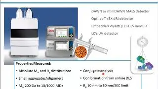 Molar Mass, Size, Charge, and Interactions - Tools for Essential Biophysical Characterization