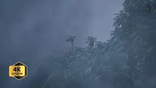 STOP Using boring Sleep Aids Tropical Rainstorm for Stress Relief Works