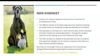 Is evolution a scientific theory?
