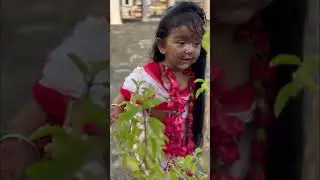 আমার শ্যামা মা ❤️#minivlog #Priyankar sathe