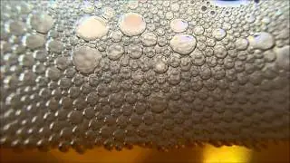 Macro Beer Bubbles - recorded with Olympus TG-2 Camera