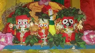 RATH YATRA AT HOME 2023 - BAHUDA YATRA, SUNA BESHA, NILADRI BIJE, ADHARPANA