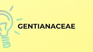 What is the meaning of the word GENTIANACEAE?