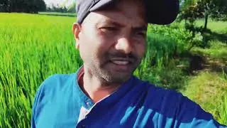 Dhaan aur Bagh Aam ke bag aur Sabhi item#Volga 