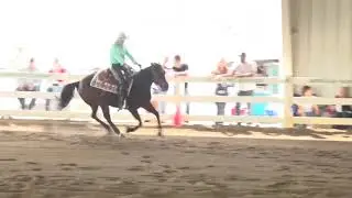 170819 Beth Porter Wimpy On The Rocks Non-Pro Futurity
