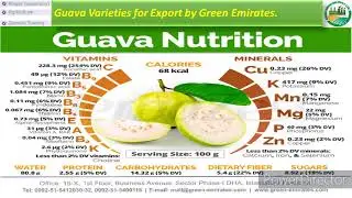 Guava Varieties for Export by Green Emirates Pvt Ltd