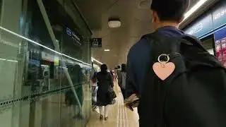 Chinatown MRT Station | Paid transfer link walk from DTL Platforms to NEL Platforms | January 2025