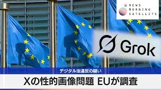 Xの性的画像問題 EUが調査 デジタル法違反の疑い【モーサテ】