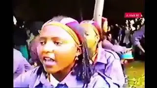 Hawwisoo Oromoo 