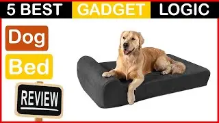 ✅ Best Dog Bed Amazon in 2023 🍳 Top 5 Tested [Buying Guide]
