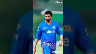 All time fast bowler animal compare