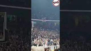 Greatest BASKETBALL FANS in the WORLD? 🤔