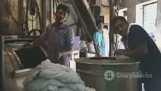 Mumbai Unveiled: The Genesis of a Megacity