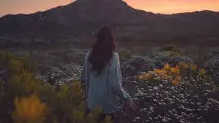 Peaceful Morning Sounds | Begin Your Day with Serenity