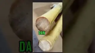perisai diri dan rumah bambu buntet asli #bambu #bambupatillele #bambu buntet #bambu petuk