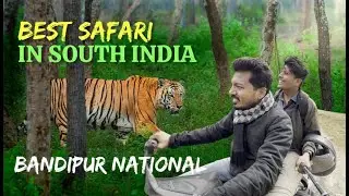 ಬಂಡೀಪುರ ಅಭಯಾರಣ್ಯ | ಹುಲಿಗಳ ತಾಣ | Bandipura Forest Safari | Bandipur Tiger Reserve