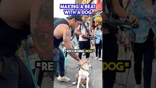 Made a beat LIVE with a DOG! ❤️🐕 #dogsofinstagram #beatbox #musicproducer