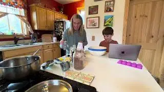 organic Coconut bliss balls