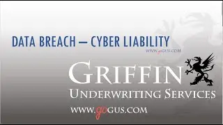 Data Breach   Cyber Liability
