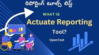 What is  Actuate Corporation reporting Software in Telugu