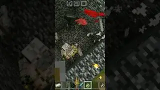 wither and skeleton army vs iron golem#SKR entertainment 2.O#wither#skeleton#irongolem#minecraft