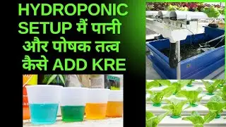 Hydroponics System Mein Nutrients Aur Pani Kaise Add Karen