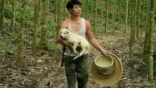 CEO Trieu Khang Quits City Life for the Wilderness, Selling Bananas, Raising a Dog, Cooking Daily