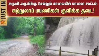 Elephants camp on the road to Suruli Falls | Theni | Tourists banned from bathing | Sunnews