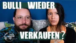 Motorcheck unseres VW T3 Bullis - VLOG 48 - travelwithbus