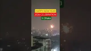 New year celebration #shorts #foryou #happy #new #year #celebration