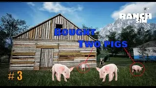 I Bought Two PIGS (MALE + FEMALE) || Ranch Simulator # 3