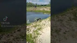 прогулка #хаски