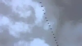 Vroege Vogels - Enorme vlucht kraanvogels in V-formatie