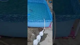 Limpeza da piscina portatil com filtro improvisado. #piscina #limpeza #filtragem #filtro #improviso