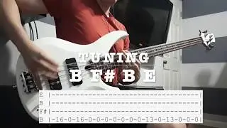 Slipknot - NERO FORTE BASS LESSON WITH TABS!!! #neroforte #slipknot #basscover