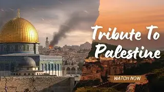 In Memory of Gaza | A Heartfelt Tribute to the Innocent Souls of Palestine
