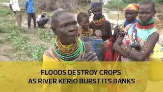 Floods destroy crops as river Kerio burst its banks
