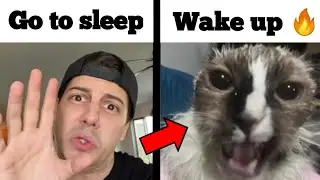 Go too Sleep Original VS Cat Wake up Cat 🔥🔥