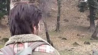Haider 2014 Film