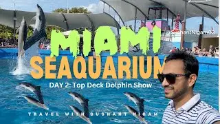 Miami Sea Aquarium Top Deck Dolphin Show #dolphin #dolphins #miami #usa #america #miamidolphins #yt
